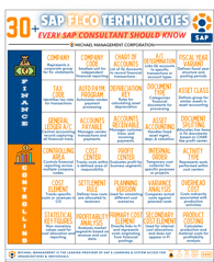 30 SAP FICO TERMINOLOGIES