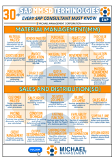 30 SAP MMSD TERMINOLOGIES June 1-1