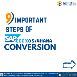 9 Steps of S4HANA Conversion-01-1