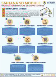 Copy of SD ORGANIZATIONAL STRUCTURE-1