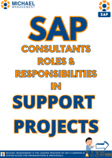 Roles and Responsibilities in SupportAMS Projects June 4-1-1