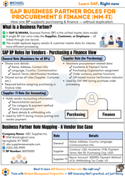 SAP Business Partner Roles for Procurement & Finance (MM-FI)