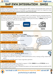 SAP EWM Integration - SMQ2 -1-1