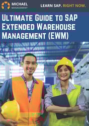 Ultimate Guide to SAP Extended Warehouse Management (EWM)_Page_01